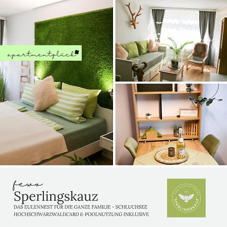 Fewo Sperlingskauz Mit Pool, Sauna & Hochschwarzwaldcard Шлухзее Экстерьер фото