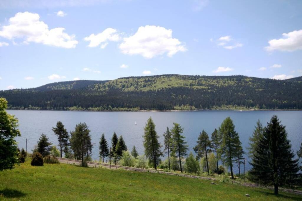Fewo Sperlingskauz Mit Pool, Sauna & Hochschwarzwaldcard Шлухзее Экстерьер фото