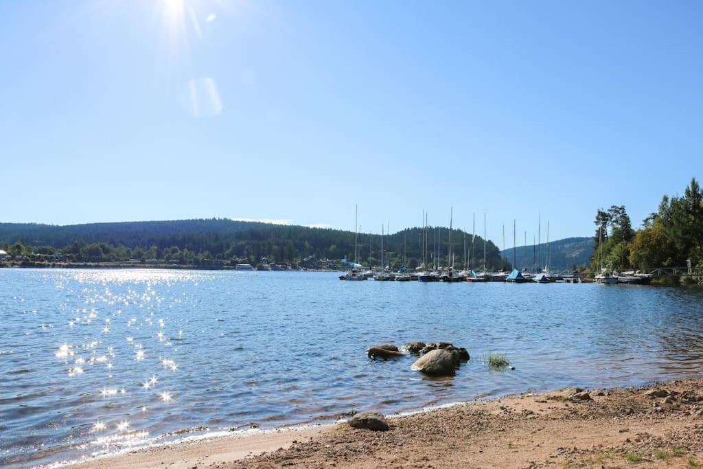 Fewo Sperlingskauz Mit Pool, Sauna & Hochschwarzwaldcard Шлухзее Экстерьер фото
