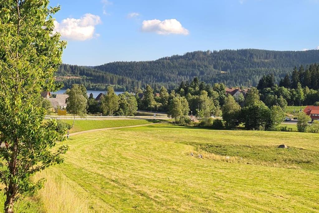 Fewo Sperlingskauz Mit Pool, Sauna & Hochschwarzwaldcard Шлухзее Экстерьер фото