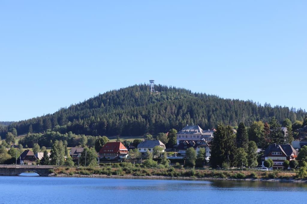 Fewo Sperlingskauz Mit Pool, Sauna & Hochschwarzwaldcard Шлухзее Экстерьер фото
