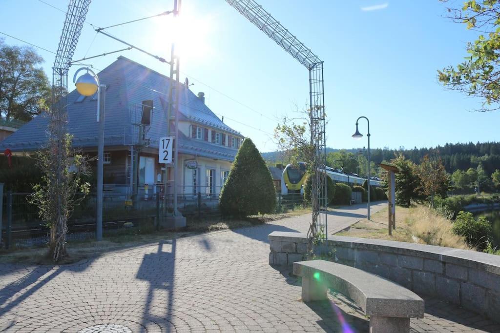 Fewo Sperlingskauz Mit Pool, Sauna & Hochschwarzwaldcard Шлухзее Экстерьер фото
