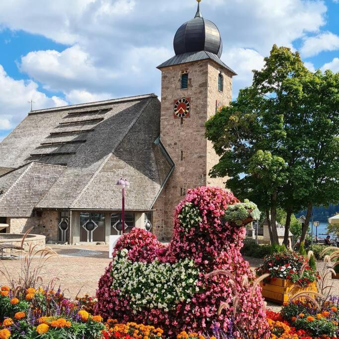 Fewo Sperlingskauz Mit Pool, Sauna & Hochschwarzwaldcard Шлухзее Экстерьер фото