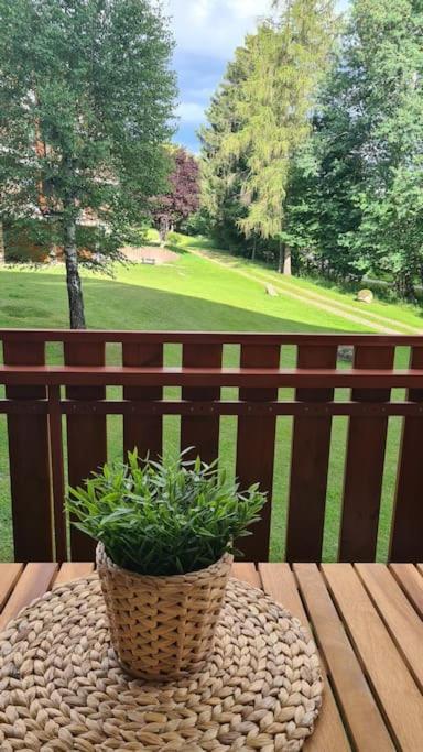 Fewo Sperlingskauz Mit Pool, Sauna & Hochschwarzwaldcard Шлухзее Экстерьер фото